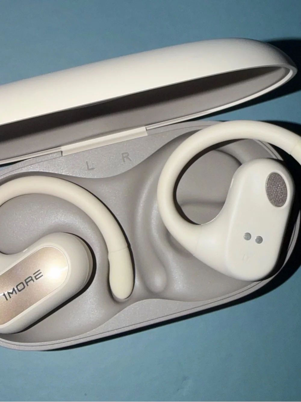 White & Gold Sport Earbuds with Earhooks and Charging Case
